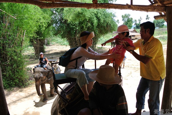 태국 여행의 백미 &ndash; 코끼리 타고 탐험하기
