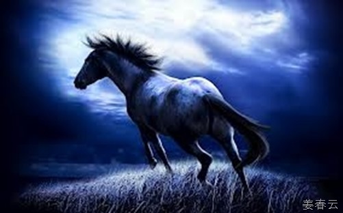 2014년은 청마(blue horse)의 해&ndash;서양에서는 행운의 상징, 동양에서는 좋은 기운으로 해석 되