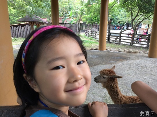 타이페이 동물원(Taipei Zoo) 대 탐방 - 펜더곰, 물소, 돼지, 거북이 등 다양한 동물을 직접 볼 수 있어 – 대만 여행 한번 가볼까나?