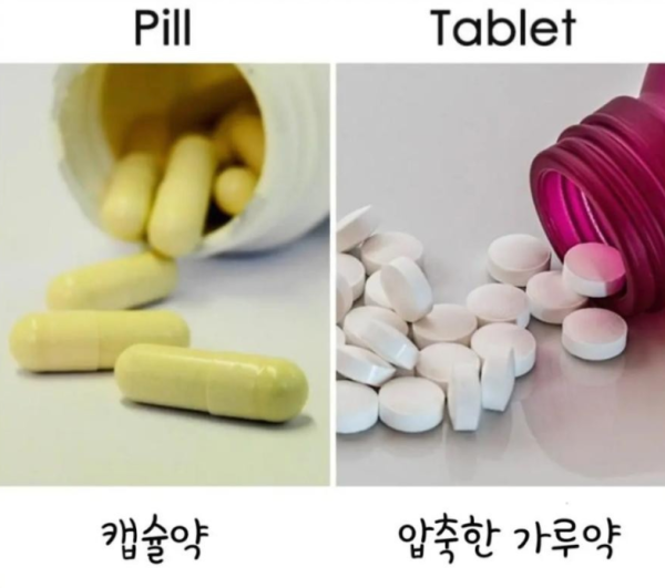 알쏠달쏭한 영어