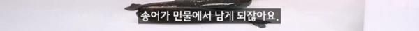 태어나고 어느정도 자라면 2차 전직을 해야하는 물고기
