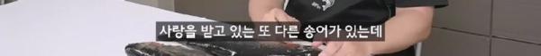 태어나고 어느정도 자라면 2차 전직을 해야하는 물고기