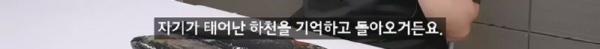 태어나고 어느정도 자라면 2차 전직을 해야하는 물고기