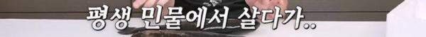 태어나고 어느정도 자라면 2차 전직을 해야하는 물고기