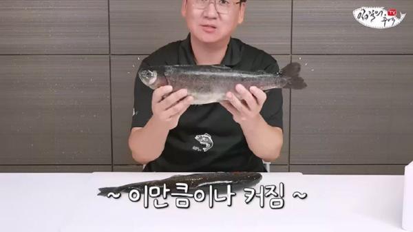태어나고 어느정도 자라면 2차 전직을 해야하는 물고기