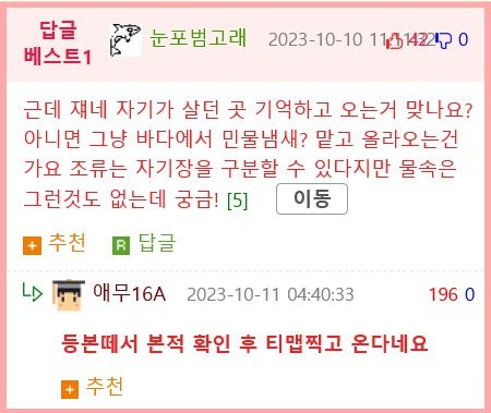 태어나고 어느정도 자라면 2차 전직을 해야하는 물고기
