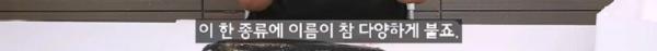 태어나고 어느정도 자라면 2차 전직을 해야하는 물고기