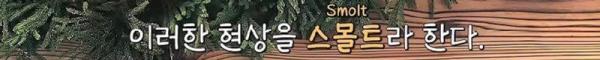 태어나고 어느정도 자라면 2차 전직을 해야하는 물고기