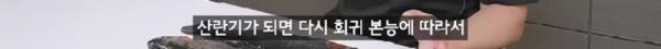 태어나고 어느정도 자라면 2차 전직을 해야하는 물고기