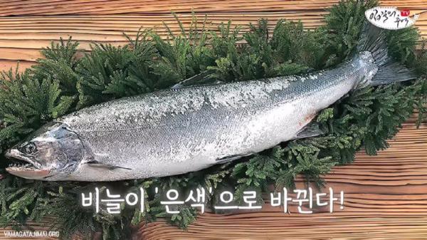 태어나고 어느정도 자라면 2차 전직을 해야하는 물고기