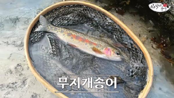 태어나고 어느정도 자라면 2차 전직을 해야하는 물고기