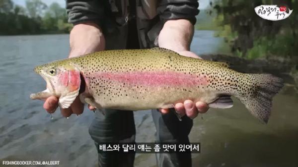 태어나고 어느정도 자라면 2차 전직을 해야하는 물고기