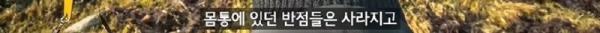 태어나고 어느정도 자라면 2차 전직을 해야하는 물고기