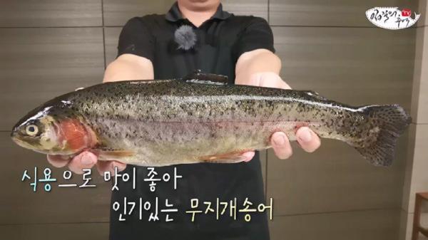 태어나고 어느정도 자라면 2차 전직을 해야하는 물고기