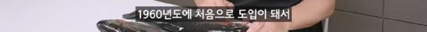 태어나고 어느정도 자라면 2차 전직을 해야하는 물고기
