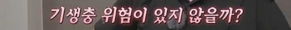 태어나고 어느정도 자라면 2차 전직을 해야하는 물고기