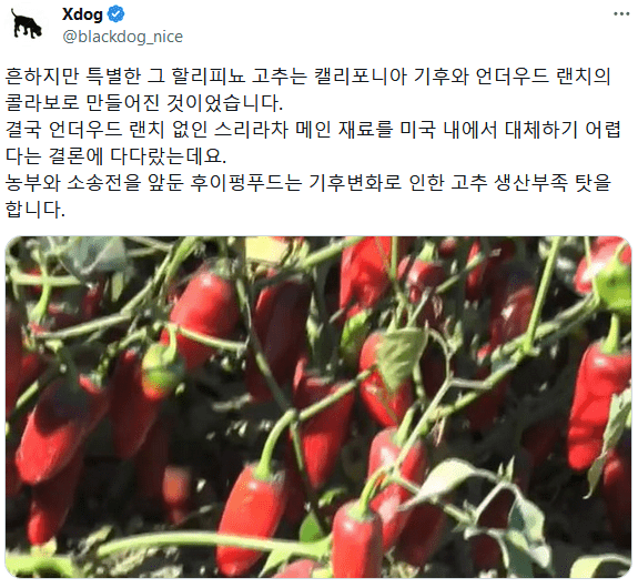 쓰리라차 소스 품귀 원인은 모두 거짓말
