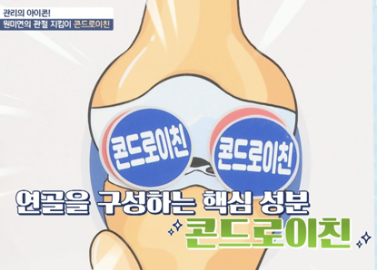 글루코사민 vs. 콘드로이친: 무엇이 더 나은 관절 건강 보조제일까?