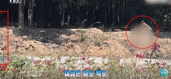 대낮에 도로서 포즈를 취하는 벌거벗은 여성으로 인해 벌어진 해프닝