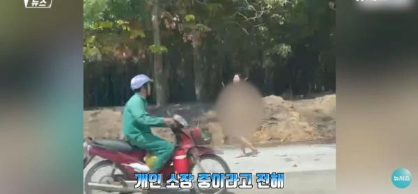 대낮에 도로서 포즈를 취하는 벌거벗은 여성으로 인해 벌어진 해프닝