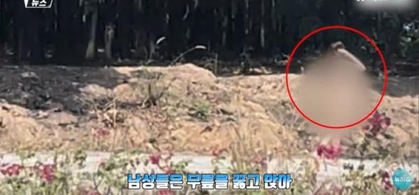 대낮에 도로서 포즈를 취하는 벌거벗은 여성으로 인해 벌어진 해프닝