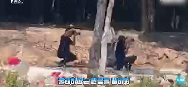 대낮에 도로서 포즈를 취하는 벌거벗은 여성으로 인해 벌어진 해프닝