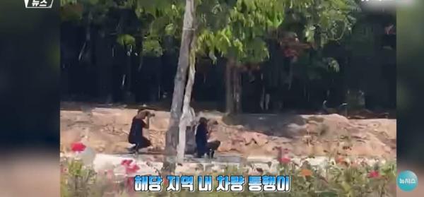 대낮에 도로서 포즈를 취하는 벌거벗은 여성으로 인해 벌어진 해프닝