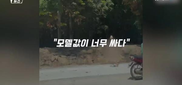 대낮에 도로서 포즈를 취하는 벌거벗은 여성으로 인해 벌어진 해프닝