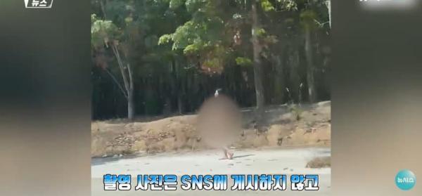 대낮에 도로서 포즈를 취하는 벌거벗은 여성으로 인해 벌어진 해프닝