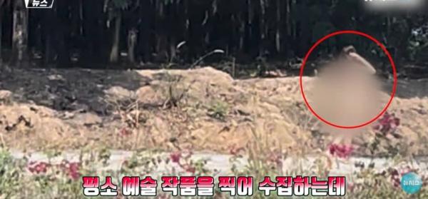 대낮에 도로서 포즈를 취하는 벌거벗은 여성으로 인해 벌어진 해프닝