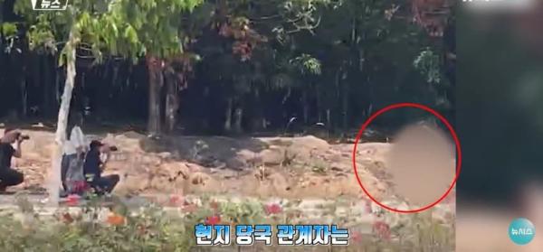 대낮에 도로서 포즈를 취하는 벌거벗은 여성으로 인해 벌어진 해프닝