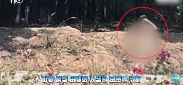 대낮에 도로서 포즈를 취하는 벌거벗은 여성으로 인해 벌어진 해프닝