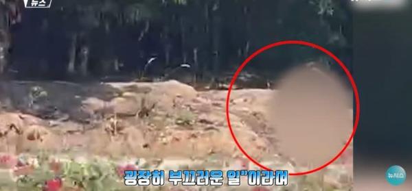 대낮에 도로서 포즈를 취하는 벌거벗은 여성으로 인해 벌어진 해프닝