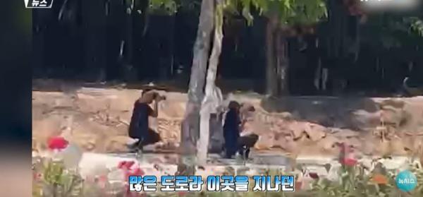 대낮에 도로서 포즈를 취하는 벌거벗은 여성으로 인해 벌어진 해프닝