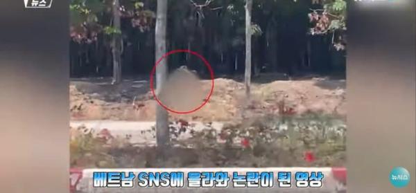 대낮에 도로서 포즈를 취하는 벌거벗은 여성으로 인해 벌어진 해프닝
