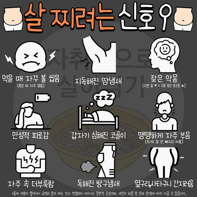 살찌려는 신호