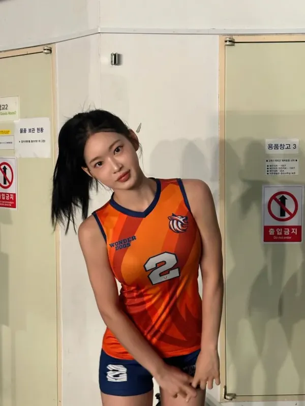 원더독스 이진